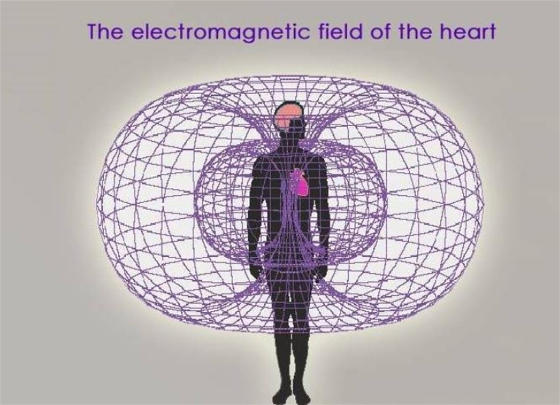 Was ist der Parasympathikus?